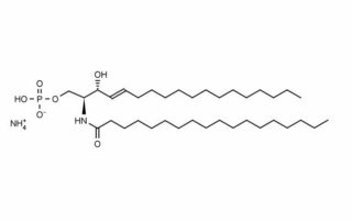 ceramides